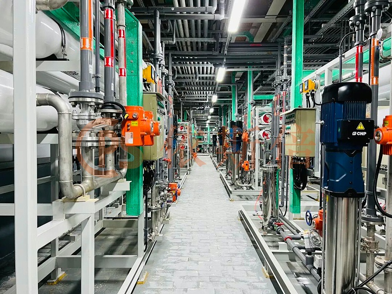 依斯倍受邀參加2025外企高管交流會4