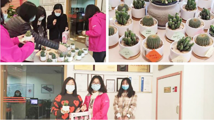 三八婦女節(jié)，向閃閃發(fā)光的環(huán)保女神們致敬